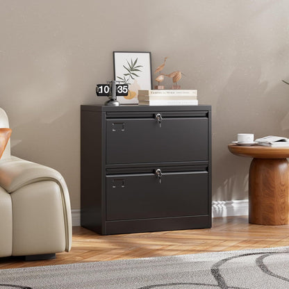 Metal 2 Drawer Lateral File Cabinet With 2 Lock - Wide Filing Cabinet For Letter Legal Hanging Files - Includes Business Card Holder,Home Office School Storage,Black