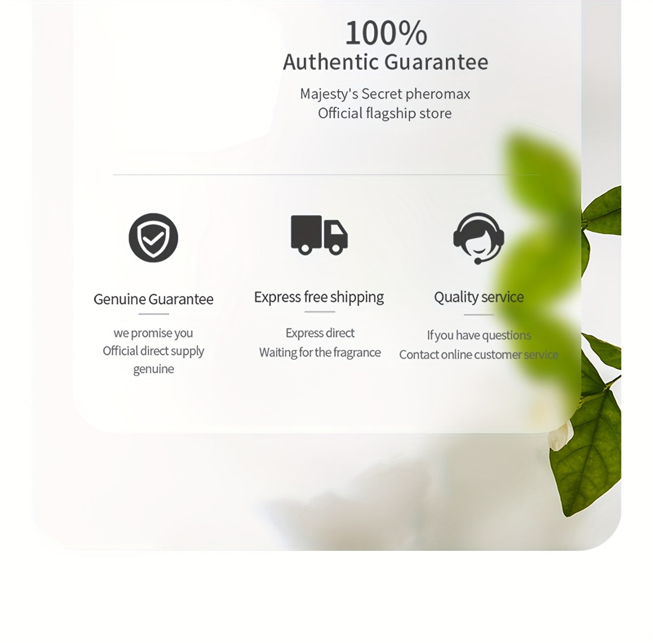100ml Elegant Womens Eau De Parfum - Enchanting, Long-Lasting Floral & Fruity Blend - Perfect for Dating, Daily Wear & Special Occasions - A Luxurious Christmas Gift for Her